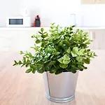 Sol Smartworking By Babiniliving Tindaya
