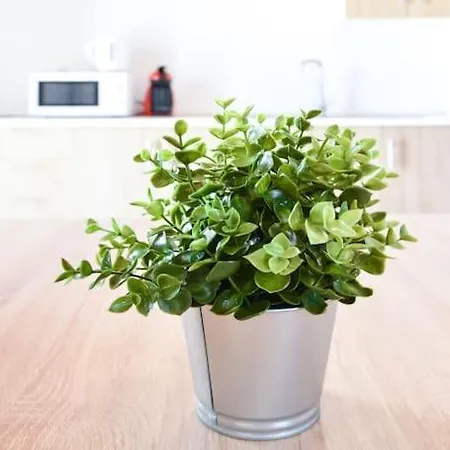 Sol Smartworking By Babiniliving 廷达亚