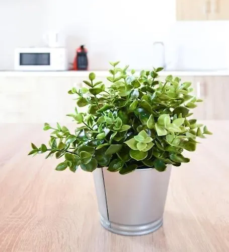 Sol Smartworking By Babiniliving Tindaya